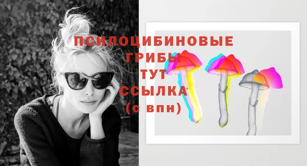 2c-b Алексин